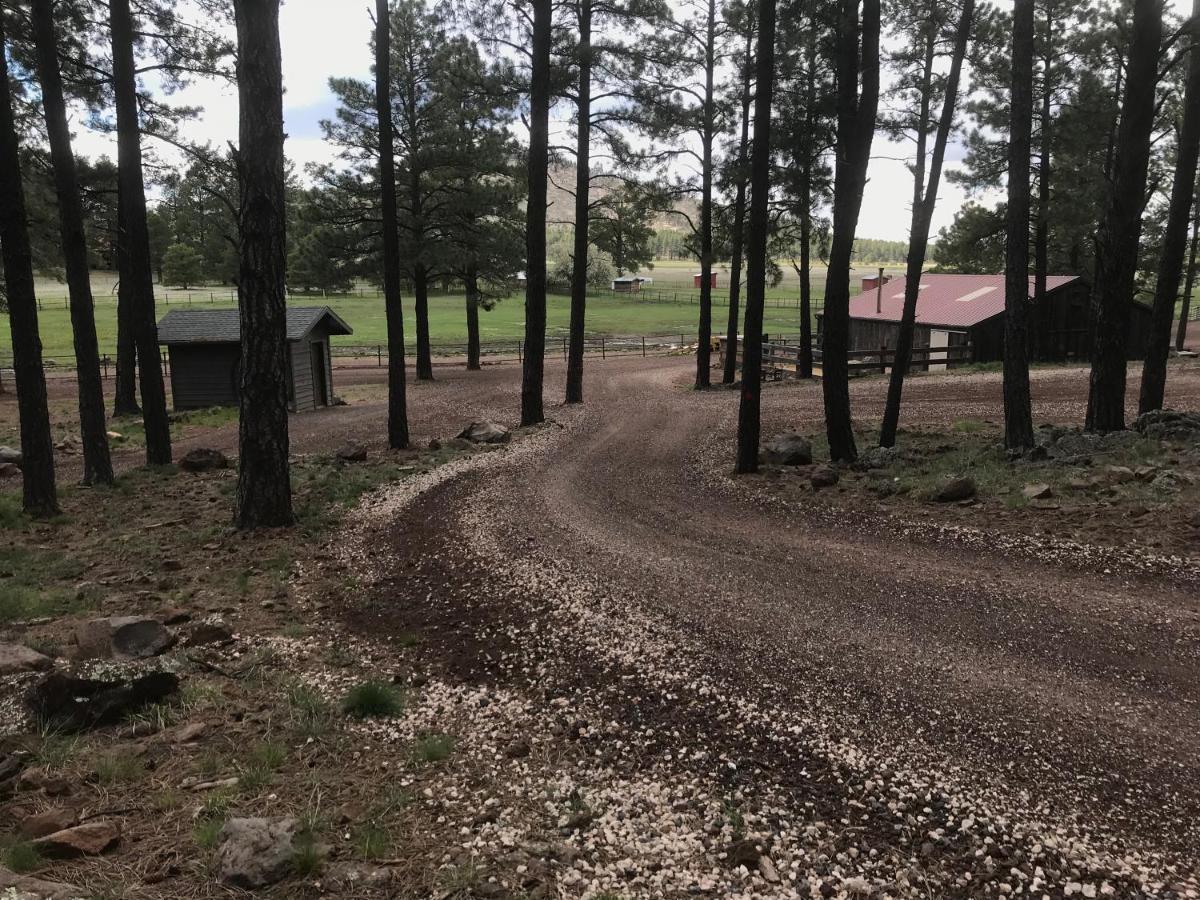 Grand Canyon 1Bd Loft/Suite-Horseback Riding-Shooting-Dogs Ok! Parks Exteriör bild