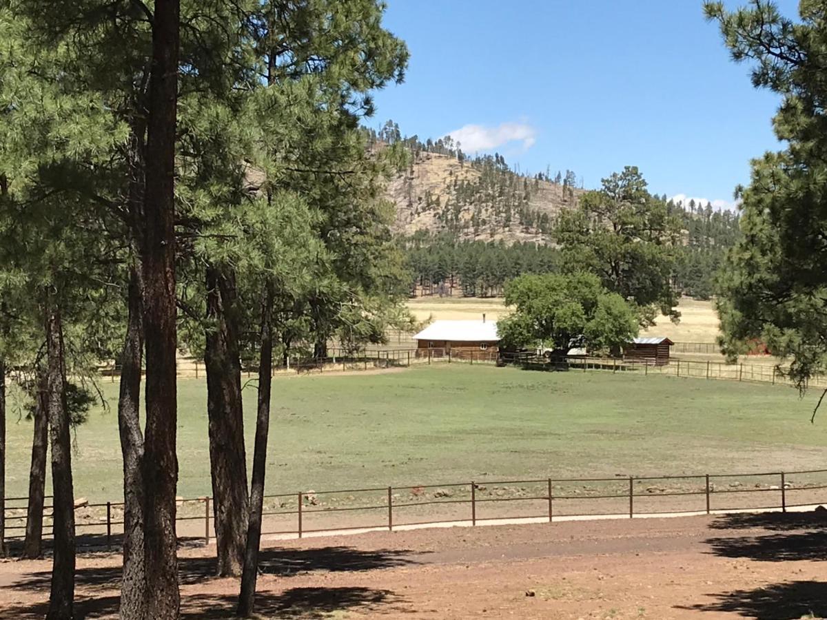 Grand Canyon 1Bd Loft/Suite-Horseback Riding-Shooting-Dogs Ok! Parks Exteriör bild