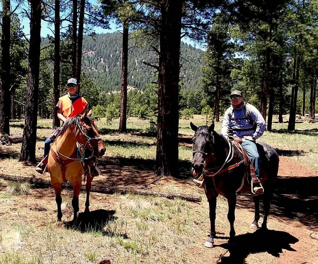 Grand Canyon 1Bd Loft/Suite-Horseback Riding-Shooting-Dogs Ok! Parks Exteriör bild