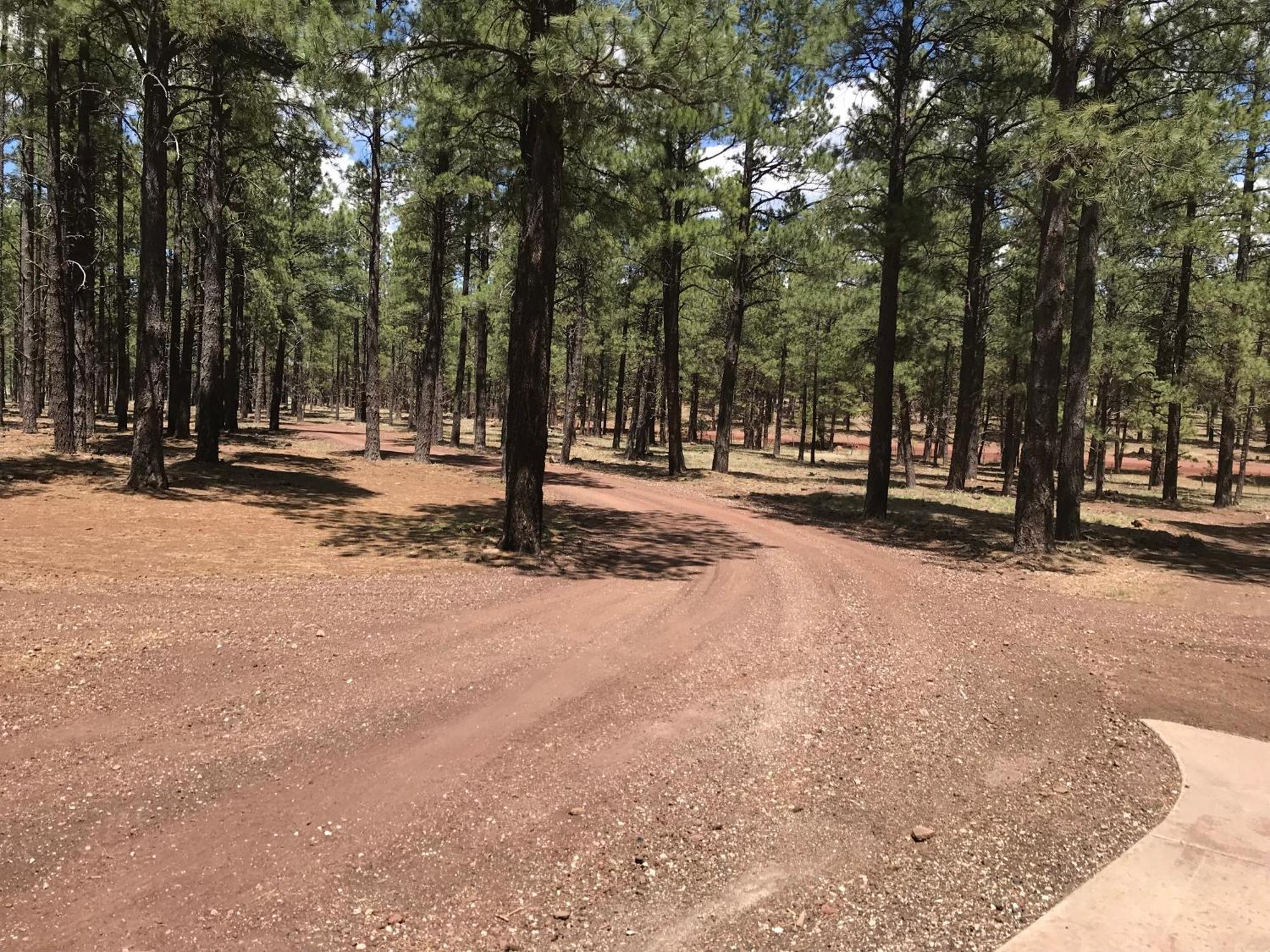 Grand Canyon 1Bd Loft/Suite-Horseback Riding-Shooting-Dogs Ok! Parks Exteriör bild